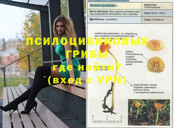 трава Алзамай
