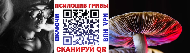 Псилоцибиновые грибы Psilocybe  Домодедово 