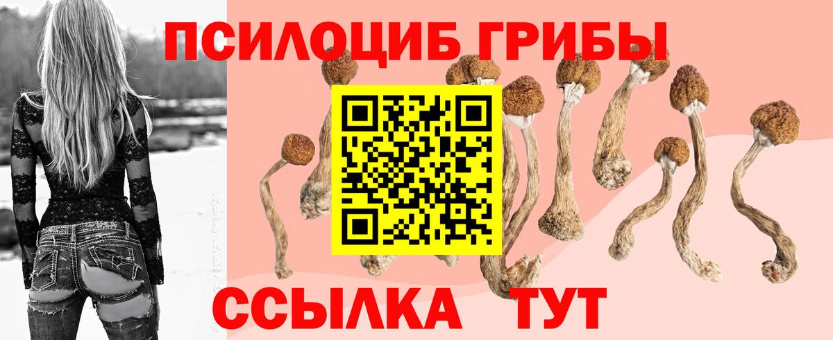 Псилоцибиновые грибы прущие грибы  Вход с VPN  Домодедово 